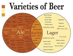 Ale Or Lager A Drinkers Guide To Beer Beer Beer Infographic Home Brewing Beer