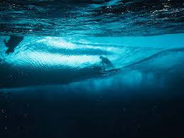 Adam Evarts (@adamevarts) • Instagram photos and videos