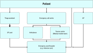 4 Flow Chart For Patient Pathways In Emergency Care