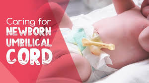 Watch more videos for more knowledge how do i bathe my baby before the. Caring For Your Baby Umbilical Cord Signs Treatment