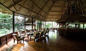 Image result for Manulea conferta