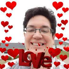 What are affordable apartments in the Quad Cities area that allow service  animals for a domestic violence survivor?