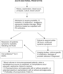 Image result for Acute Bacterial Prostatitis