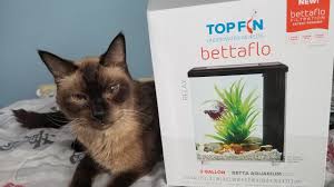 Advm /w era, betta, flo. Top Fin Bettaflo Relax Unboxing Youtube