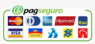 (pags) stock quote, history, news and other vital information to help you with your stock trading and investing. Paypal Pagseguro Visa Mastercard Decal Sticker Free Transparent Png Download Pngkey