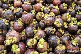 Gambar buah manggis yang sangat cantik dan enak untuk di pandang. Ini Manfaat Buah Manggis Untuk Kesehatan Yang Wajib Anda Ketahui