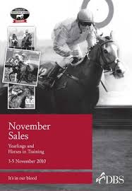 Dbs November Yearling Sales 2010 By Goffs Issuu