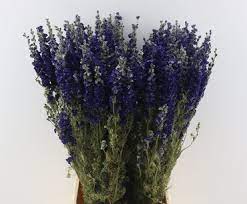 We did not find results for: Buy Dried Flowers In Bulk Dried Flowers Bulk Wholesale