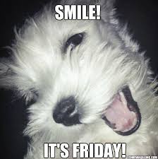 Photos funny friday quotes funny pictures funniest friday memes funniest twitter friday funniest memes quotes hey everybody its friday! Thank God It S Friday Dog Edition Friday Memes Come Wag Along