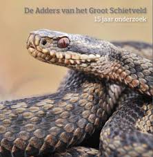 Het gebied is militair domein en wordt actief gebruikt als oefenterrein voor de artillerie. De Adders Van Het Groot Schietveld 15 Jaar Onderzoek Hyla