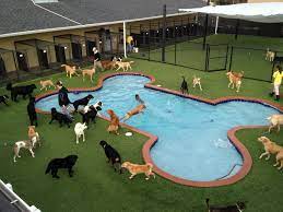 We did not find results for: 9 Airports With Animal Boarding Facilities