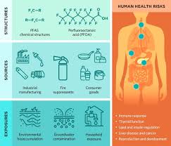 Image result for PFAS Chemical