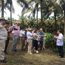 2) kesan terhadap alam sekitar. Kunjungi Kebun Sawit Asian Agri Begini Kesan Para Dubes Eropa Ekonomi Bisnis Com