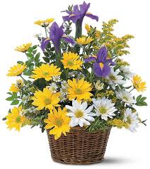 This plant has green leaves along with red and white flowers in a brown woven stick basket. Everyday Flower Arrangements Smiling Floral Basket