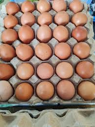 Trứng gà công nghiệp – SUNI GREEN FARM