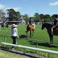 Lucindale Show event image