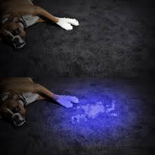 Led Uv Flashlight Ultraviolet Torch 5mode Mini Uv Light Zoomable Function 395nm Ultra Violet Light Blacklight Use 18650 Battery Led Flashlights Aliexpress