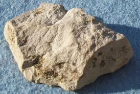 Limestone is usually a biological sedimentary rock, forming from the accumulation of shell, coral, algal, fecal, and other organic debris. Learning Geology Limestone
