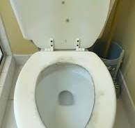 MOLD ON TOILET SEATS: Do not leave your toilet seat lids ...