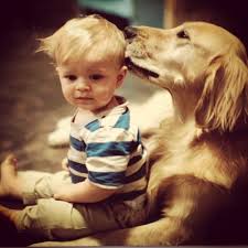 Cocuk Kopek Animals Baby Dogs Dog Love