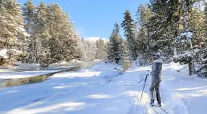 Du vercors au jura en passant par les vosges et les pyrénées, notre elle permet de renouer avec l'esprit pionnier du ski de fond. Les Stations De Ski Les Plus Proches De Paris France Montagnes