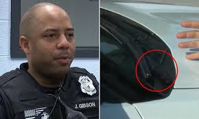 A real labour of love: Devoted farmer creates heart-shaped meadow by  planting thousands of oak trees in tribute to his late wife