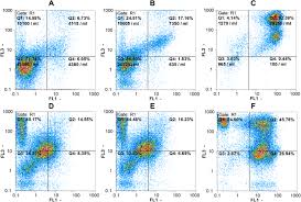 A trace amount of non igg proteins was not isolated and remained in this precipitate. Functional Study Of A Camelid Single Domain Anti Cd22 Antibody Springerlink