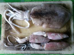 Penjual dan pembeli bisa langsung bertransaksi. Through My Glasses Kacamata Nak Berniaga Buat Cara Nak Berniaga