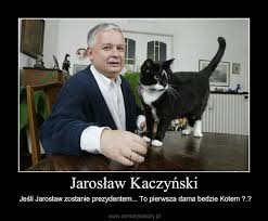 Jarosław kaczyński znany jest z wielkiej miłości do kotów. Jaroslaw Kaczynski Demotywatory Pl