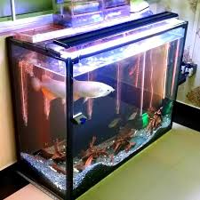 But at about 8lb/gallon, the tank would weigh. 4ft Unique Floor Base Fish Tank Pet Supplies On Carousell
