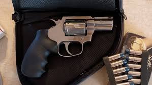 Image result for Rhone Blue 1983 Colt