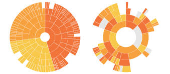 Sunburst Diagram Learn About This Chart And Tools To Create It