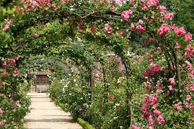 We did not find results for: Fabulous Garden Structures For Climbing Plants