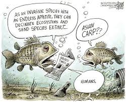 Fresh Water Invasive Species Cartoons Invasive Species Species Cartoon Fish