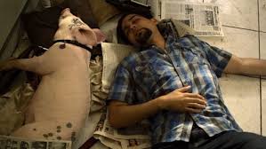 Maybe you would like to learn more about one of these? Sofia Felix Filminlatino