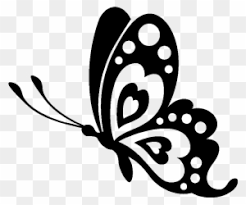 We start drawing our butterfly with a simple, but fairly realistic body outline. Butterfly Stencil Silhouette Drawing Cute Butterfly Butterfly Silhouette Free Transparent Png Clipart Images Download