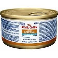 Royal Canin Veterinary Diet Gastrointestinal Moderate Calorie Canned Cat Food 24 3 Oz Click Image For More Detail Canned Cat Food Diy Cat Food Best Cat Food