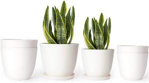 Shop from the vast range of hand painted planter offered by alibaba.com. 2 Color Hand Painted Plant Pot With Drainage With Plug Large White Planters With Finish Set 2 Indoor Ceramic Flower Pots For Plants 8 6 Inch Modern Luxe Planters For Houseplants Planters