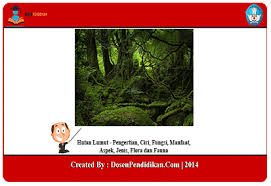 Gambar flora dan fauna bioma hutan hujan tropis. Hutan Lumut Ciri Fungsi Manfaat Jenis Flora Dan Fauna