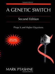 Die hauptsächlich in lateinamerika aufgetauchte mutation lambda. Lambda Phage Lexikon Der Biologie