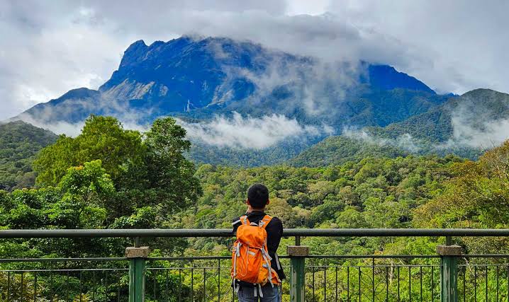 Fauna Rimba Borneo