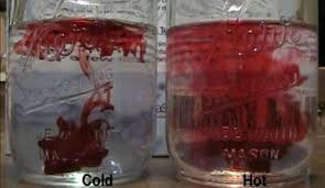 تحذير الماء البارد على عكس الماء الفاتر أحدهما يؤذي صحتك