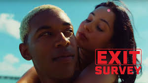 Exit Survey: 'Waves'