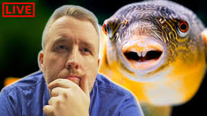 Live Q A With Aquarium Co Op Https Youtu Be Fxp7p9w86nw In 2020 Aquarium Planted Aquarium Aquarium Fish