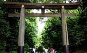 People who routinely visit or work in a big city know that they can be a the higher cost of living is the first disadvantage that people typically think of when considering. Tokyo 3 Day Itinerary For First Timers Gowithguide