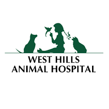 Katz is incredibly helpful and caring. Gold Coast Center For Veterinary Care Specialists In Veterinary Medicine Home Facebook