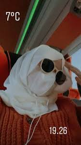 All images and logos are crafted with great workmanship. Qanaennapin Qanaennapin Profil Pinterest