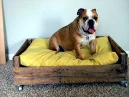 Have you ever wanted to make a cool bed for your dog? Diy Wooden Dog Beds From Euro Pallets Interior Design Ideas Avso Org
