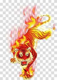 Brown And Yellow Tiger Illustration T Shirt Fire Flame Charcoal Flame Tiger Festival Transparent Tiger Illustration Transparent Background Cloud Illustration
