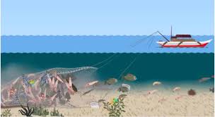 Image result for trawling